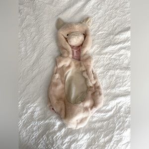 Pottery Barn Pig Costume